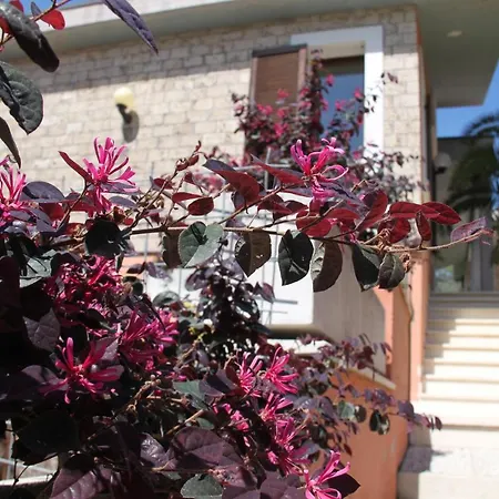 Villino Con Piscina Villa *